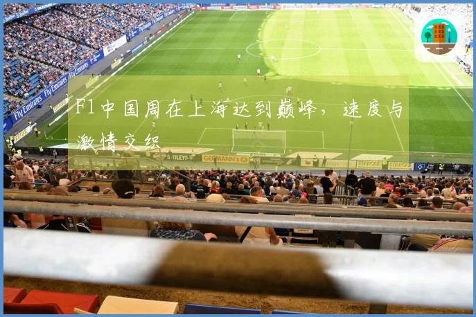 F1中国周在上海达到巅峰，速度与激情交织